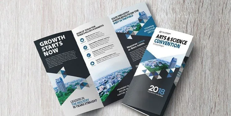 Brochure Designs preview